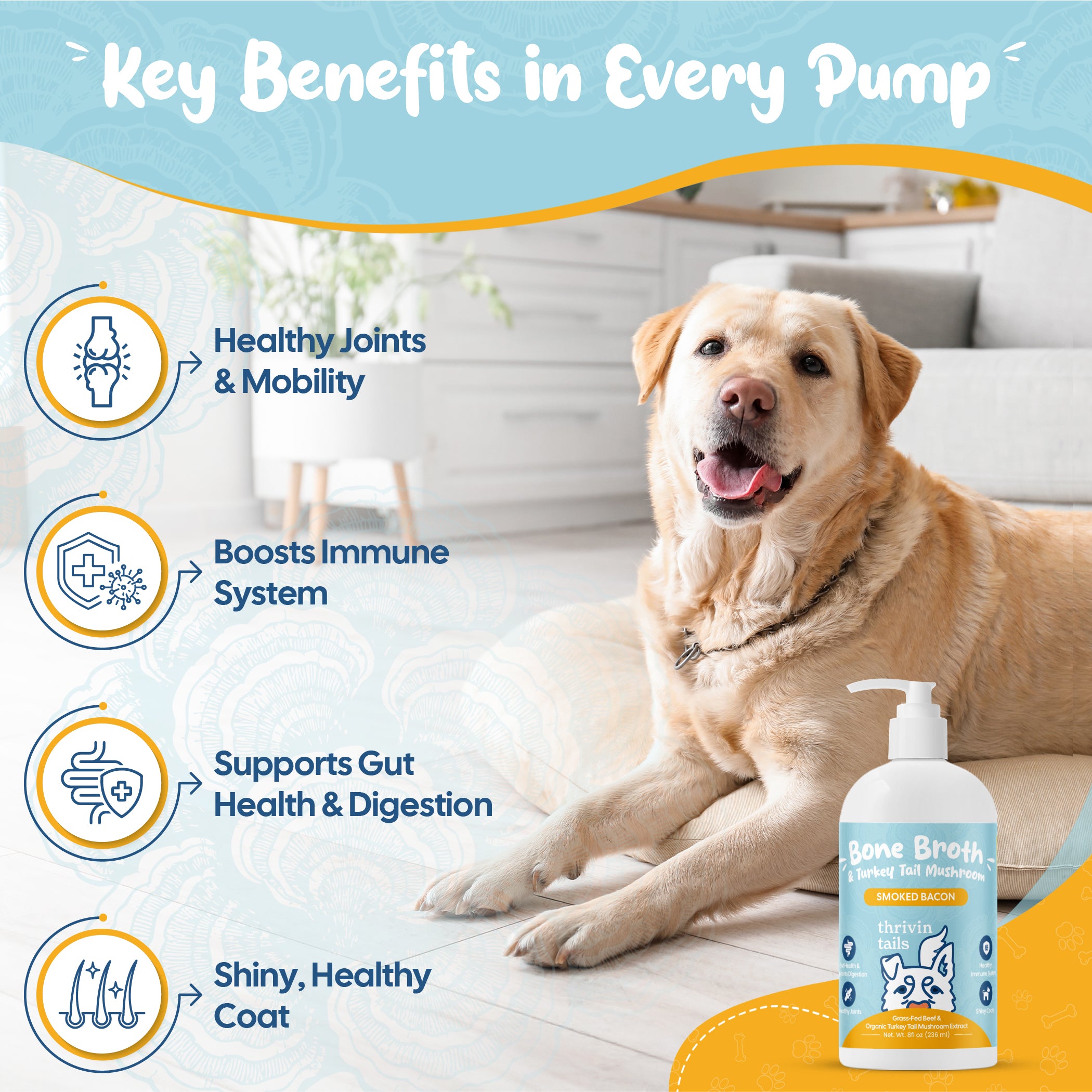 Bone Broth And Turkey Tail Mushrooms