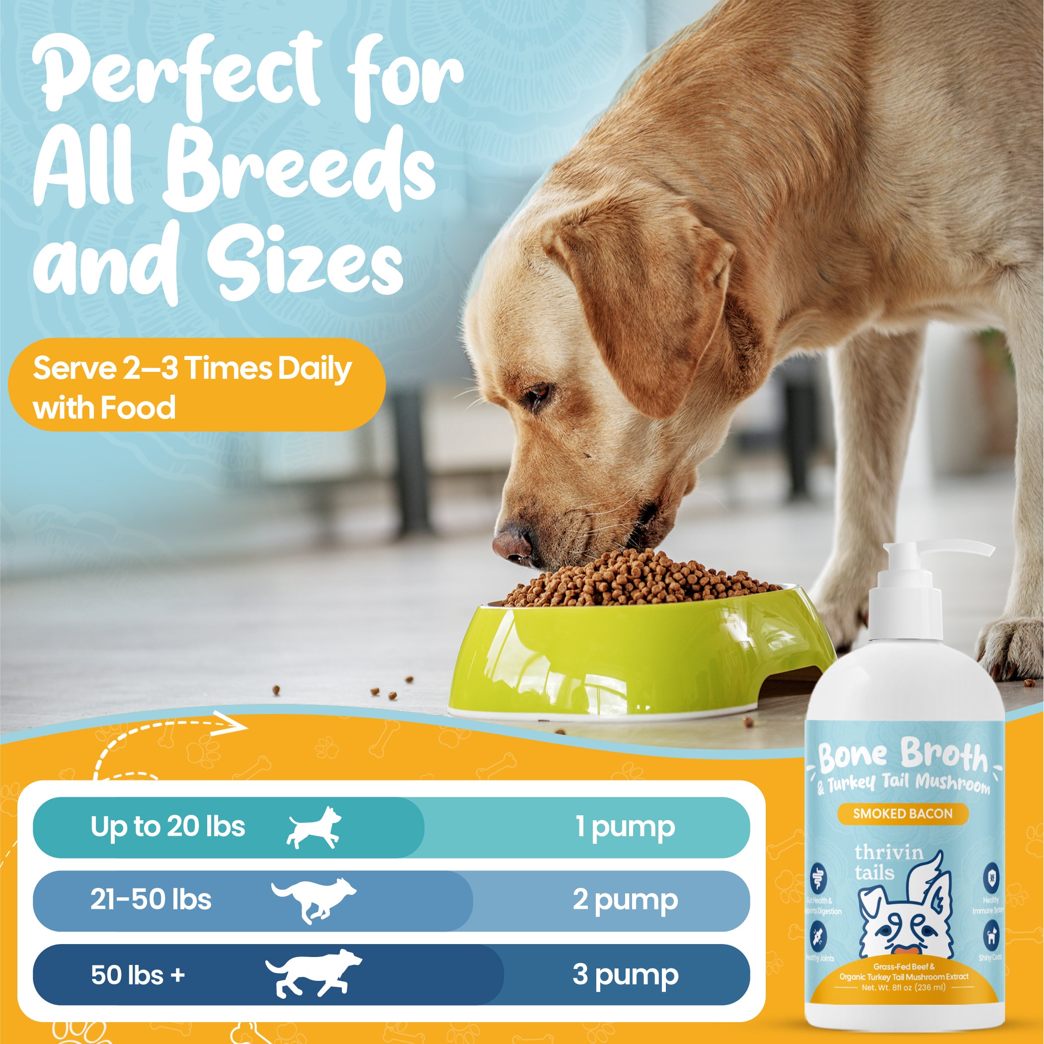 Bone Broth And Turkey Tail Mushrooms